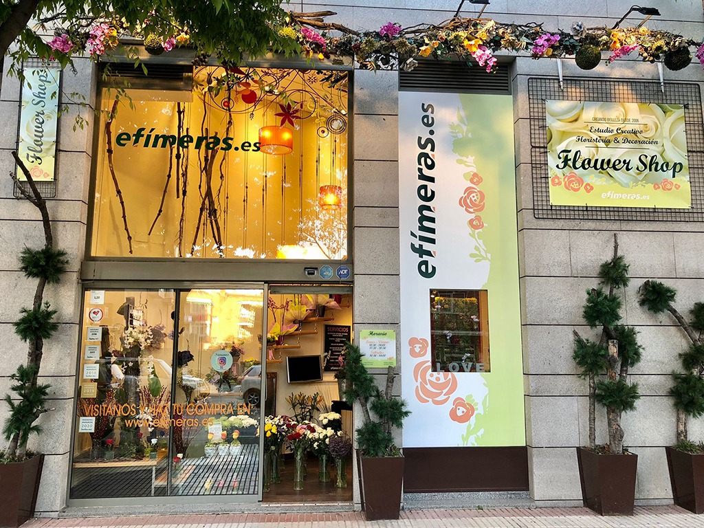 camisetejo fachada efimeras 2